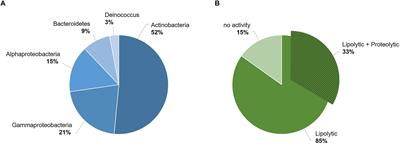 Discovery and Characterization of a New Cold-Active Protease From an Extremophilic Bacterium via Comparative Genome Analysis and in vitro Expression